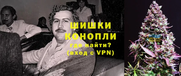 PSILOCYBIN Арсеньев